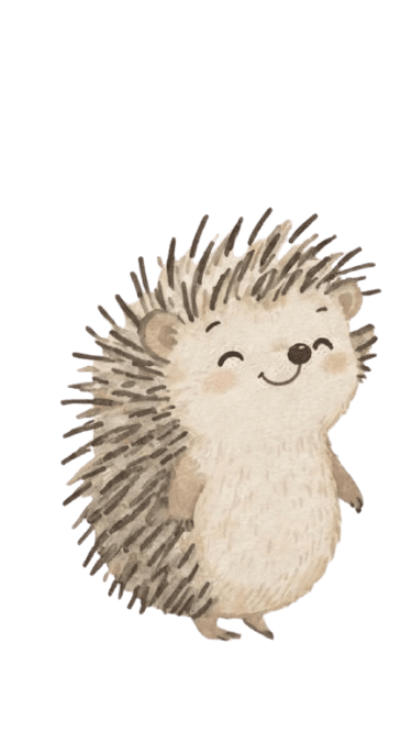 Hedgehog character illustration